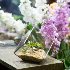 Handmade 3.93" / 10cm Silver Square Inclined Cube Glass Geometric Terrarium For Succulent Airplants -Ncyp Garden Sale Shop product image 729012716