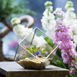 Handmade 3.93" / 10cm Silver Square Inclined Cube Glass Geometric Terrarium For Succulent Airplants -Ncyp Garden Sale Shop product image 729012724