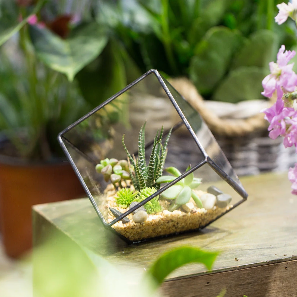 Handmade 10cm Inclined Cube Vase Glass Geometric Terrarium Tabletop Flowerpot For Garden Succulents 6 Handmade 10cm Inclined Cube Vase Glass Geometric Terrarium Tabletop Flowerpot For Garden Succulents - Image 6