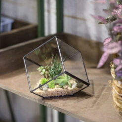 Handmade 10cm Inclined Cube Vase Glass Geometric Terrarium Tabletop Flowerpot For Garden Succulents 15 Handmade 10cm Inclined Cube Vase Glass Geometric Terrarium Tabletop Flowerpot For Garden Succulents -Ncyp Garden Sale Shop product image 739086378