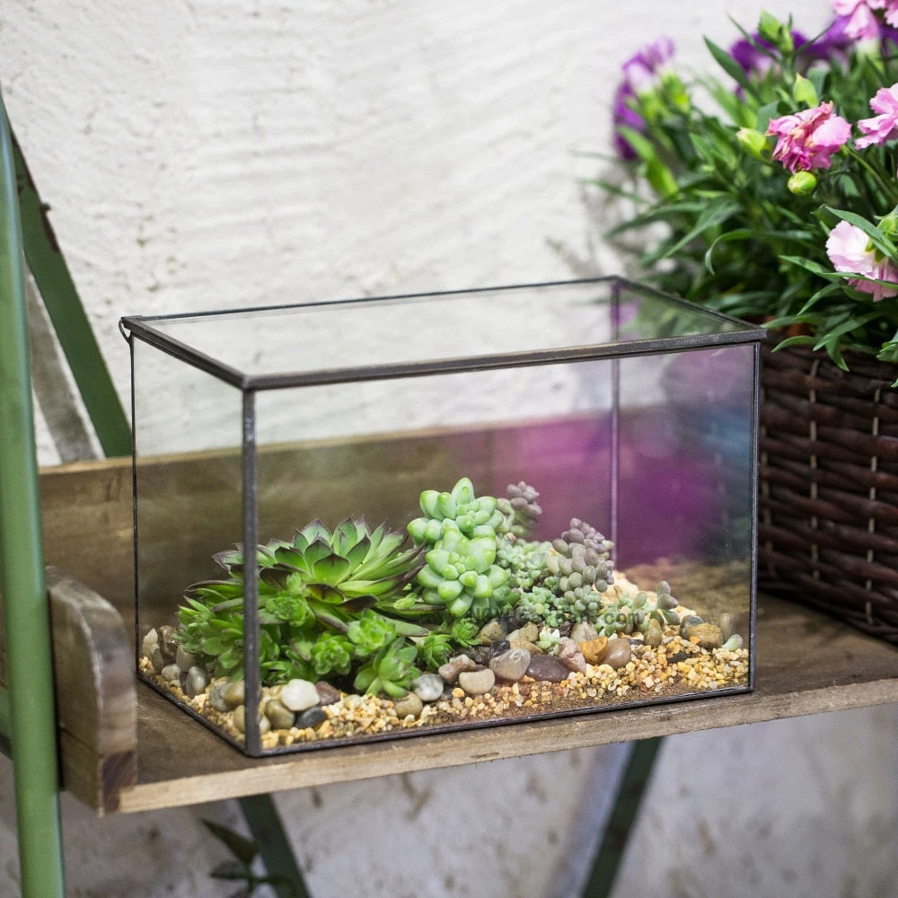 Handmade Rectangle Glass Geometric Terrarium With Lid For Succulents Moss Fern 8 Handmade Rectangle Glass Geometric Terrarium With Lid For Succulents Moss Fern - Image 8