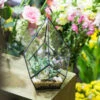 Handmade Black Artistic Four-surfaces Glass Geometric Terrarium For Succulents Airplants Moss