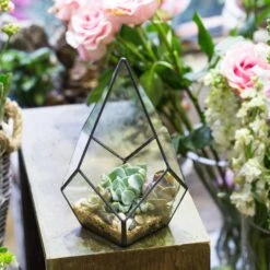 Handmade Black Artistic Four-surfaces Glass Geometric Terrarium For Succulents Airplants Moss -Ncyp Garden Sale Shop product image 822271928