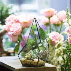 Handmade Black Artistic Four-surfaces Glass Geometric Terrarium For Succulents Airplants Moss -Ncyp Garden Sale Shop product image 822271934