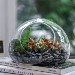 Hand Blown Glass Bubble Shape Globe Terrarium For Miniature Micro Landscape Airplants Moss -Ncyp Garden Sale Shop product image 822513987