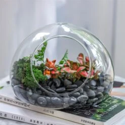Hand Blown Glass Bubble Shape Globe Terrarium For Miniature Micro Landscape Airplants Moss -Ncyp Garden Sale Shop product image 822513990