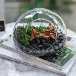 Hand Blown Glass Bubble Shape Globe Terrarium For Miniature Micro Landscape Airplants Moss -Ncyp Garden Sale Shop product image 822513991