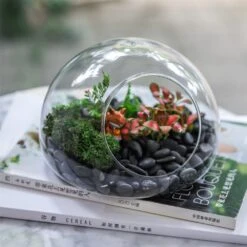 Hand Blown Glass Bubble Shape Globe Terrarium For Miniature Micro Landscape Airplants Moss -Ncyp Garden Sale Shop product image 822513992