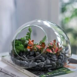 Hand Blown Glass Bubble Shape Globe Terrarium For Miniature Micro Landscape Airplants Moss -Ncyp Garden Sale Shop product image 822513994