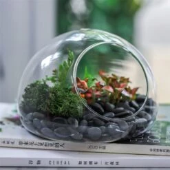 Hand Blown Glass Bubble Shape Globe Terrarium For Miniature Micro Landscape Airplants Moss -Ncyp Garden Sale Shop product image 822513995