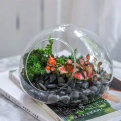Hand Blown Glass Bubble Shape Globe Terrarium For Miniature Micro Landscape Airplants Moss -Ncyp Garden Sale Shop product image 822513997