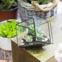 Handmade 10cm / 15cm Inclined Cube Glass Black Geometric Terrarium With Door For Succulent Moss -Ncyp Garden Sale Shop product image 825328350