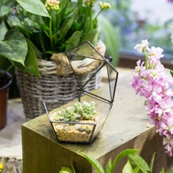 Handmade Tabletop Artistic Glass Jewelry Box Geometric Terrarium For Weddiing Home Office Decor -Ncyp Garden Sale Shop product image 826680349