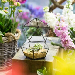 Handmade Tabletop Artistic Glass Jewelry Box Geometric Terrarium For Weddiing Home Office Decor -Ncyp Garden Sale Shop product image 826680350