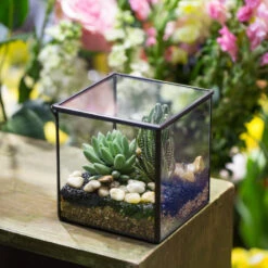Handmade Square Glass Geometric Terrarium Box With Lid For Succulents Fern Moss -Ncyp Garden Sale Shop product image 840581445
