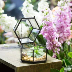 Handmade Small Glass Jewelry Geometric Box Terrarium For Succulents Ring Box 15 Handmade Small Glass Jewelry Geometric Box Terrarium For Succulents Ring Box -Ncyp Garden Sale Shop product image 843420124