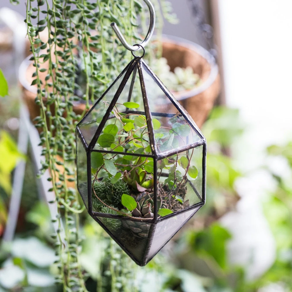Handmade Hanging Cone Shape Glass Geometric Terrarium For Succulent Fern Moss 7 Handmade Hanging Cone Shape Glass Geometric Terrarium For Succulent Fern Moss - Image 7