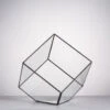 Handmade Cube Black Glass Geometric Terrarium Container For Moss Fen Succulents