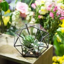 Handmade Diamond Open Glass Geometric Terrarium For Succulents Moss Fern Cacti -Ncyp Garden Sale Shop product image 866974537