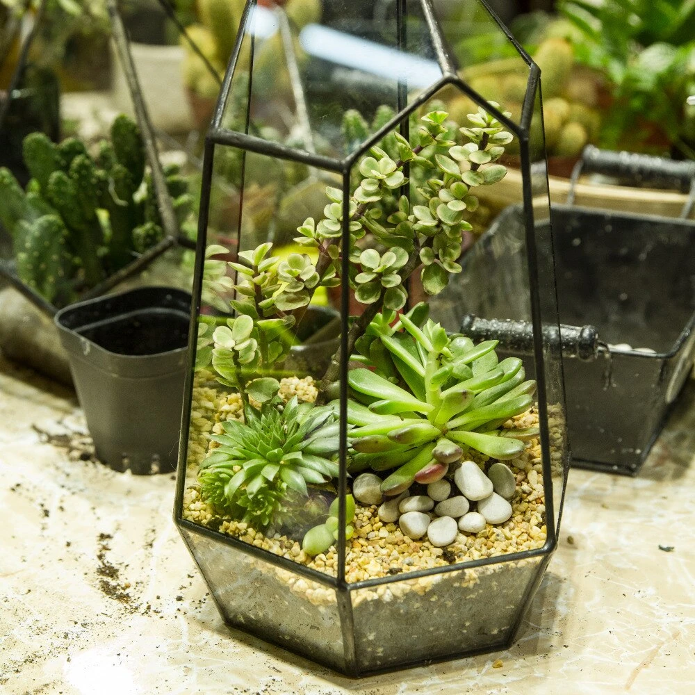 Handmade 25cm Irregular Tall Open Glass Geometric Terrarium Container For Succulents Wedding 2 Handmade 25cm Irregular Tall Open Glass Geometric Terrarium Container For Succulents Wedding - Image 2