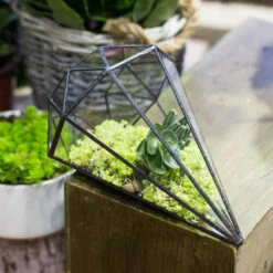 Handmade Long Diamond Glass Geometric Terrarium For Succulent Airplants Cacti Moss