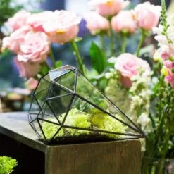 Handmade Long Diamond Glass Geometric Terrarium For Succulent Airplants Cacti Moss -Ncyp Garden Sale Shop product image 953375757