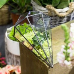 Handmade Long Diamond Glass Geometric Terrarium For Succulent Airplants Cacti Moss -Ncyp Garden Sale Shop product image 953375758