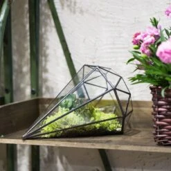 Handmade Long Diamond Glass Geometric Terrarium For Succulent Airplants Cacti Moss -Ncyp Garden Sale Shop product image 953375759