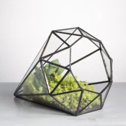 Handmade Long Diamond Glass Geometric Terrarium For Succulent Airplants Cacti Moss -Ncyp Garden Sale Shop product image 953375760
