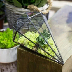Handmade Long Diamond Glass Geometric Terrarium For Succulent Airplants Cacti Moss -Ncyp Garden Sale Shop product image 988840436