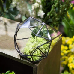 Handmade Long Diamond Glass Geometric Terrarium For Succulent Airplants Cacti Moss -Ncyp Garden Sale Shop product image 988840439
