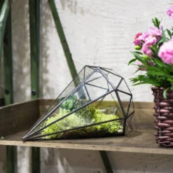 Handmade Long Diamond Glass Geometric Terrarium For Succulent Airplants Cacti Moss -Ncyp Garden Sale Shop product image 988840448