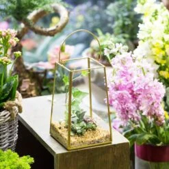 Handmade Copper Gold Echelon Geometric Glass Terrarium Hanging Wall Holder Lantern With Handle -Ncyp Garden Sale Shop product image 991625902