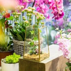 Handmade Copper Gold Echelon Geometric Glass Terrarium Hanging Wall Holder Lantern With Handle -Ncyp Garden Sale Shop product image 991625905