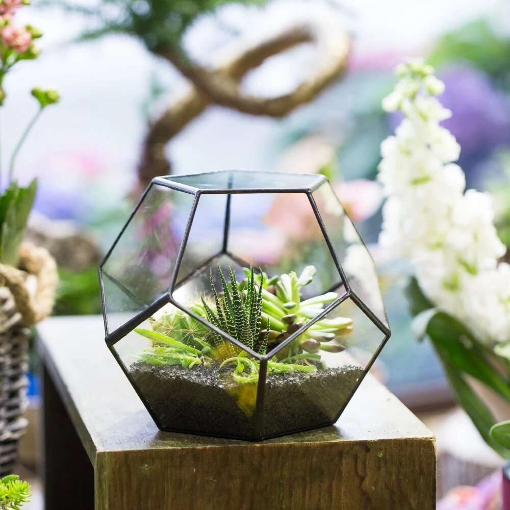 Handmade Tabletop Polyhedron Glass Geometric Terrarium For Succulent Fern Moss Air Plant 14 Handmade Tabletop Polyhedron Glass Geometric Terrarium For Succulent Fern Moss Air Plant - Image 14