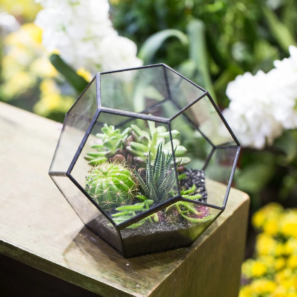 Handmade Tabletop Polyhedron Glass Geometric Terrarium For Succulent Fern Moss Air Plant 8 Handmade Tabletop Polyhedron Glass Geometric Terrarium For Succulent Fern Moss Air Plant - Image 8