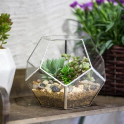 Handmade Tabletop Polyhedron Glass Geometric Terrarium For Succulent Fern Moss Air Plant
