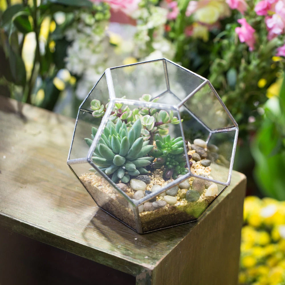 Handmade Tabletop Polyhedron Glass Geometric Terrarium For Succulent Fern Moss Air Plant 6 Handmade Tabletop Polyhedron Glass Geometric Terrarium For Succulent Fern Moss Air Plant - Image 6