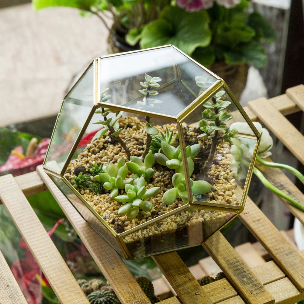 Handmade Tabletop Polyhedron Glass Geometric Terrarium For Succulent Fern Moss Air Plant 5 Handmade Tabletop Polyhedron Glass Geometric Terrarium For Succulent Fern Moss Air Plant - Image 5