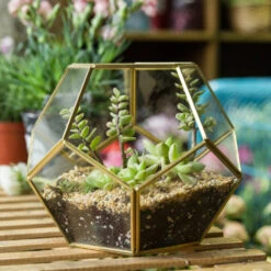 Handmade Tabletop Polyhedron Glass Geometric Terrarium For Succulent Fern Moss Air Plant 23 Handmade Tabletop Polyhedron Glass Geometric Terrarium For Succulent Fern Moss Air Plant -Ncyp Garden Sale Shop product image 993337428