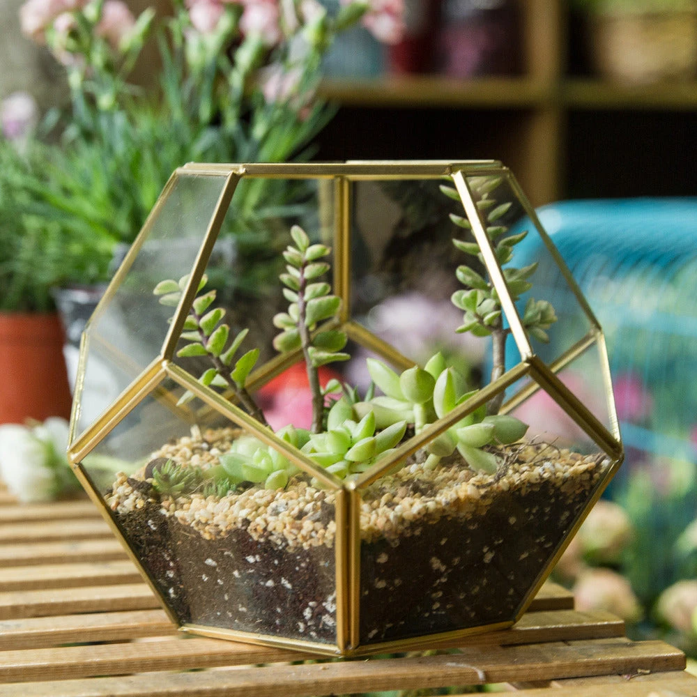 Handmade Tabletop Polyhedron Glass Geometric Terrarium For Succulent Fern Moss Air Plant 9 Handmade Tabletop Polyhedron Glass Geometric Terrarium For Succulent Fern Moss Air Plant - Image 9