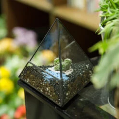 Handmade Small Pyramid Glass Geometric Terrarium For Ring Box Moss Cacti -Ncyp Garden Sale Shop product image 997415097