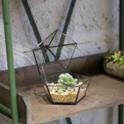 Handmade Small Modern Clear Jewelry BoxGlass Geometric Terrarium For Wedding Planters Succulents 25 Handmade Small Modern Clear Jewelry BoxGlass Geometric Terrarium For Wedding Planters Succulents -Ncyp Garden Sale Shop product image 997437592