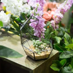 Handmade Small Modern Clear Jewelry BoxGlass Geometric Terrarium For Wedding Planters Succulents 32 Handmade Small Modern Clear Jewelry BoxGlass Geometric Terrarium For Wedding Planters Succulents -Ncyp Garden Sale Shop product image 997437597