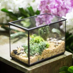 Handmade Rectangle Clear Glass Geometric Terrarium Box For Succulents Fern Moss Plant Flower -Ncyp Garden Sale Shop product image 997438685