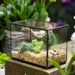 Handmade Rectangle Clear Glass Geometric Terrarium Box For Succulents Fern Moss Plant Flower -Ncyp Garden Sale Shop product image 997438686