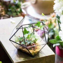 Handmade Glass Geometric Flower Terrarium Pot For Succulents Moss Fern Micro Landscape -Ncyp Garden Sale Shop product image 997439205